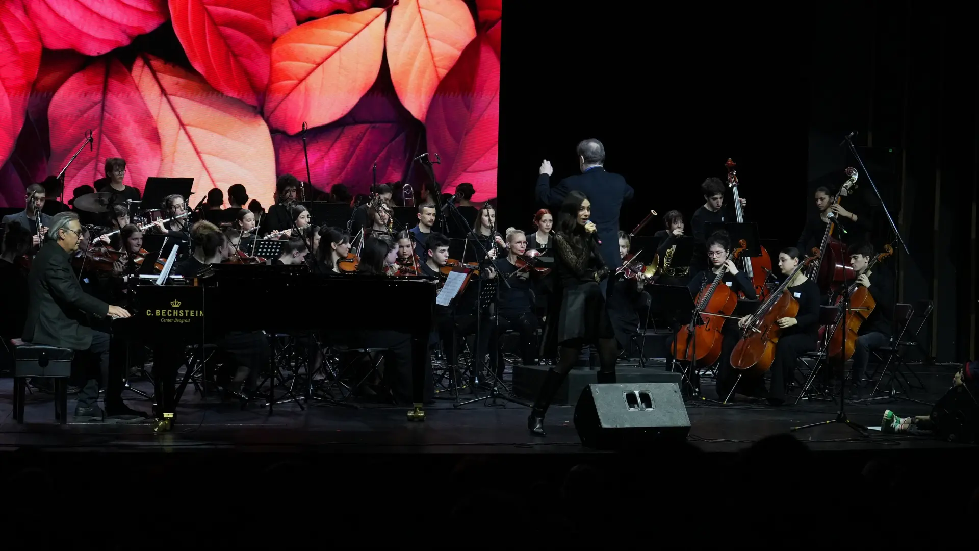 Koncert Decje filharmonije-6a427746c89c9.webp