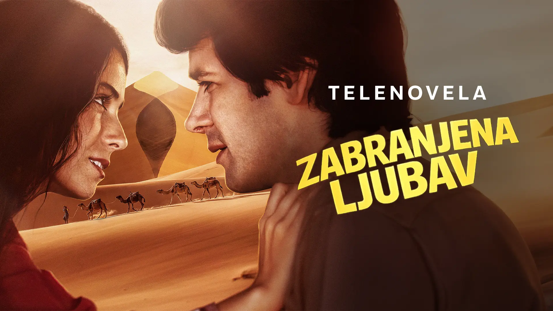 ZABRANJENA LJUBAV-6a2fd38b61196.webp