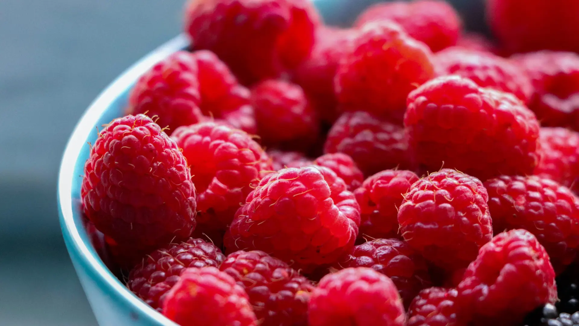 maline pixabay-6a1d87461439d.webp