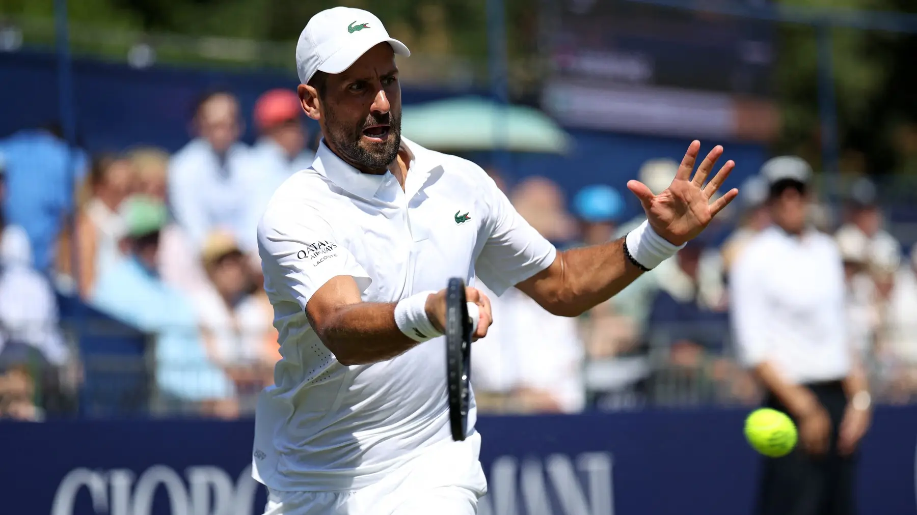 novak đokovićprofimedia-1112685902-6a3ea058554a8.webp