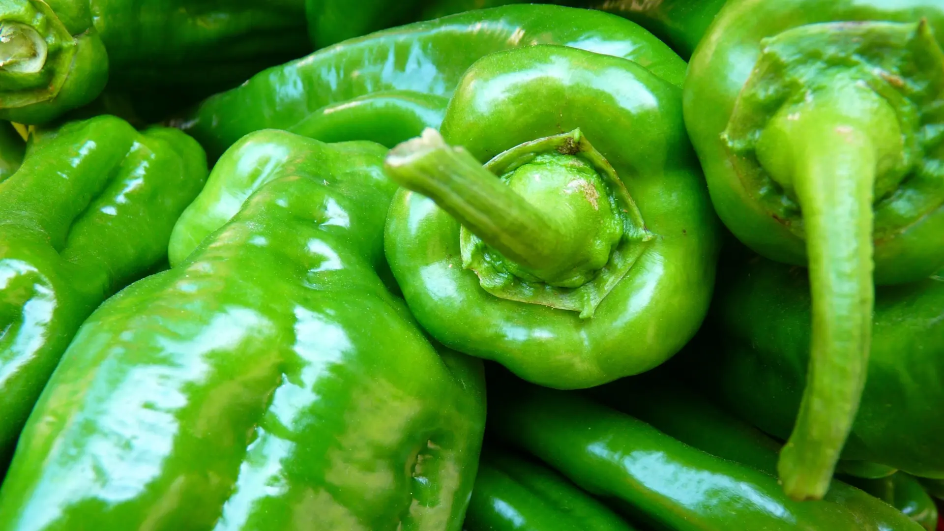 paprika paprike pixabay 5-6a1eb5baedd3a.webp