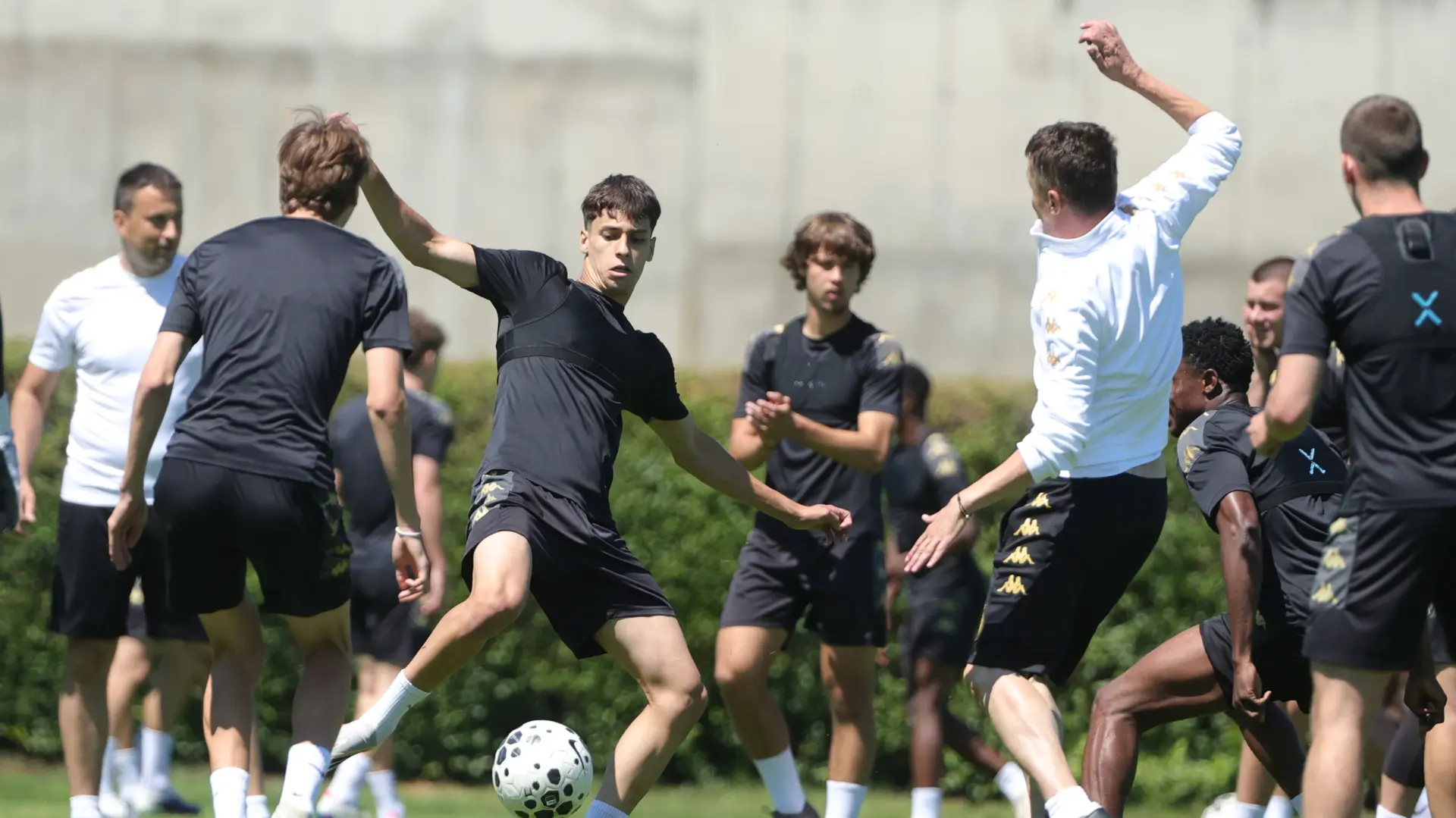 partizan fk partizan-6a32673dc65db.webp