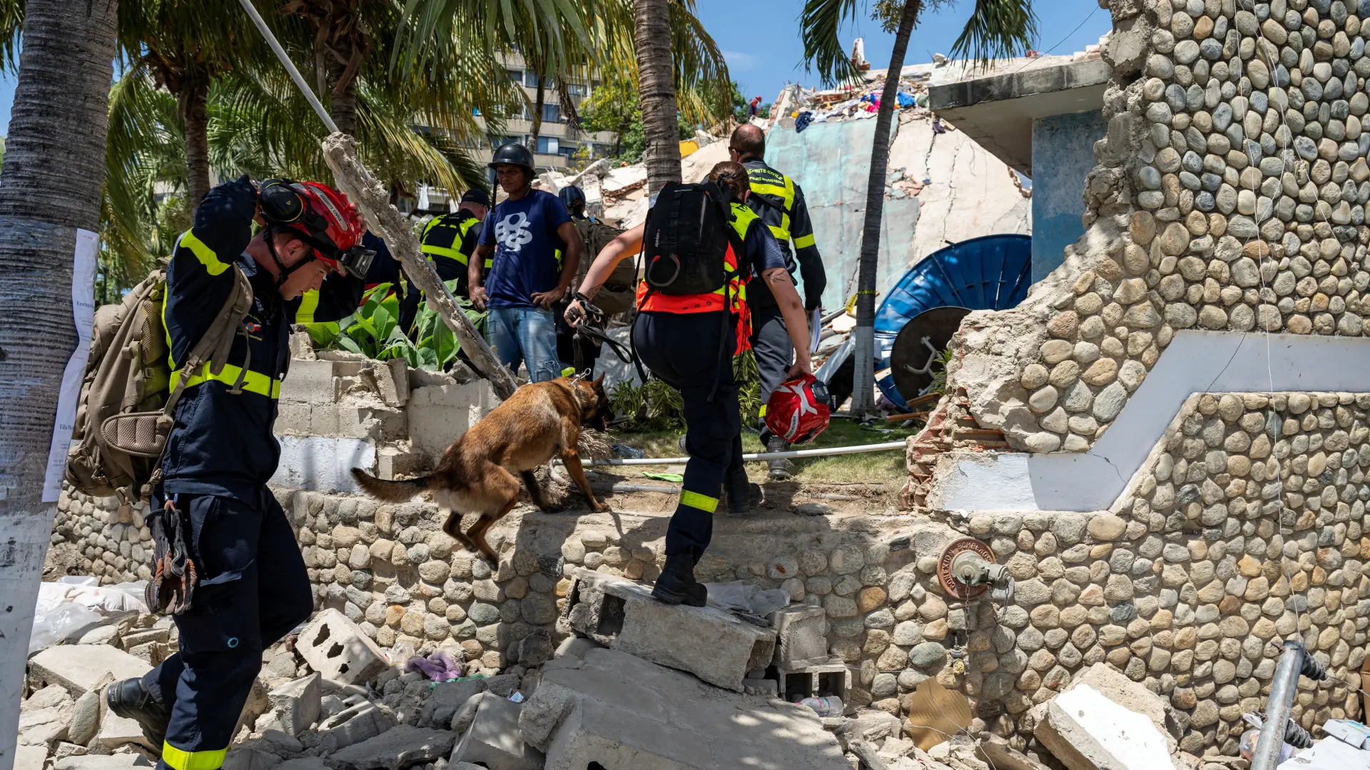 psi spasioci venecuela zemljotres MIGUEL MEDINAPool via REUTERS-6a43cc01d6832.webp
