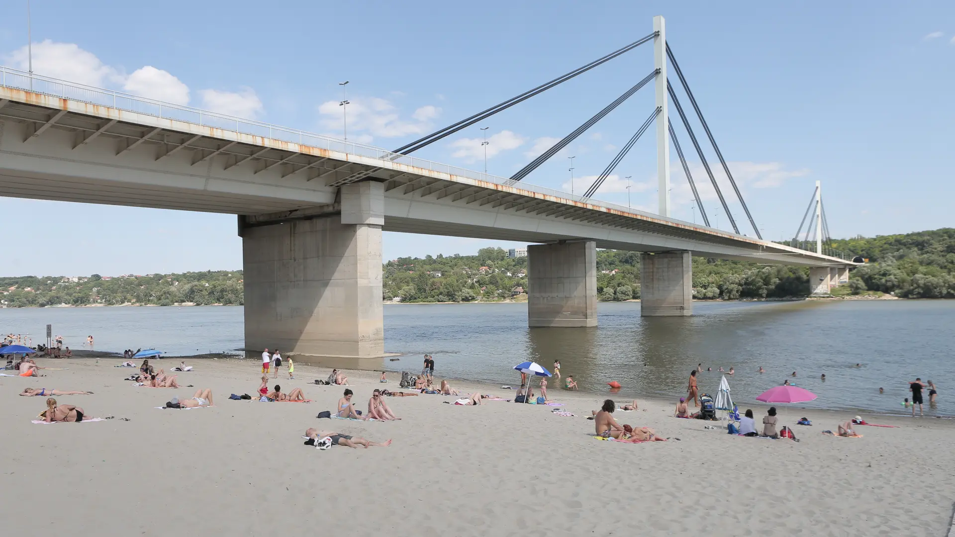 Štrand Novi Sad Dunav kupanje leto Amir HamzagicATAImages-6a68666d41299.webp