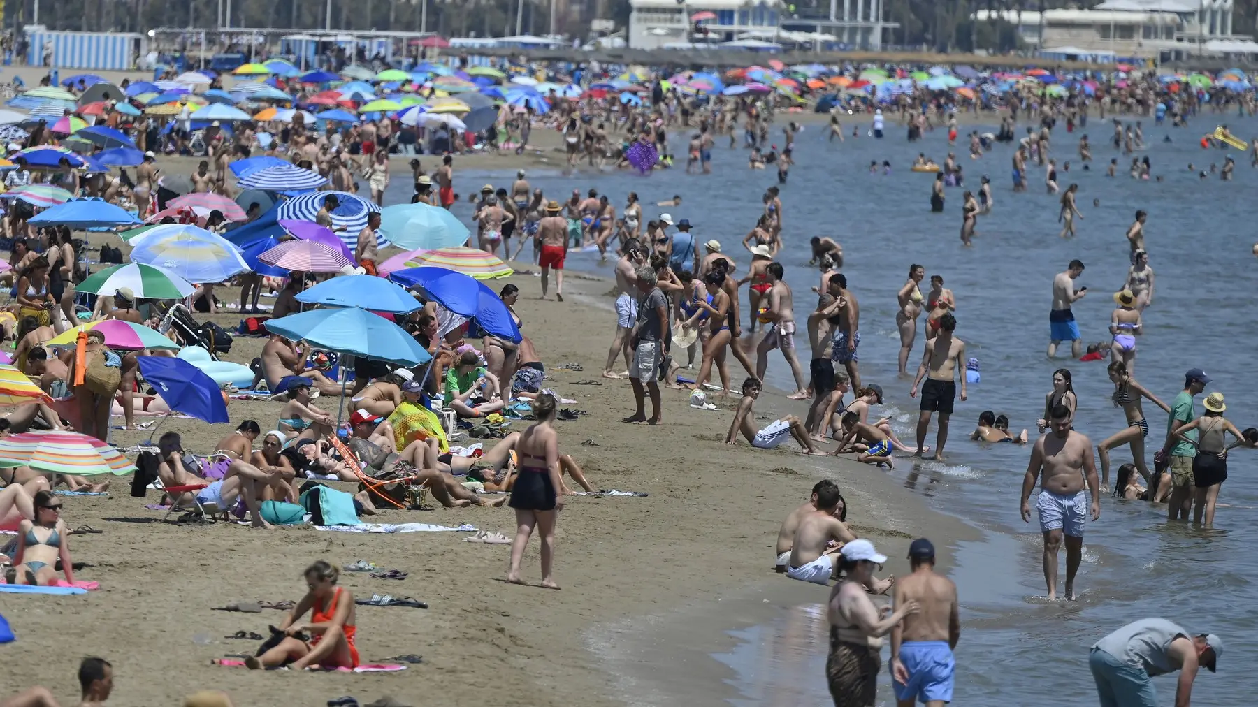 španija valensija plaža toplotni talasprofimedia-1115017304-6a565fc0dfc37.webp