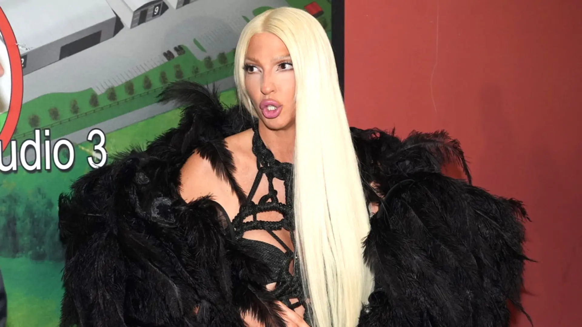 Antonio AhelATAImages jelena karleuša 9999 (2)-6a55e2952d057.webp