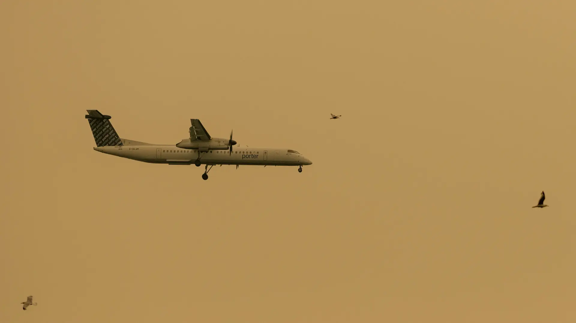 Avion Kanada šumski požar REUTERSCarlos Osorio-6a69fd85adaf9.webp