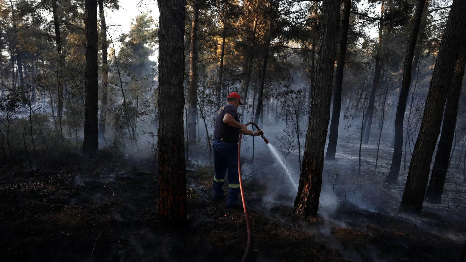 Grčka šumski požar vatrogasci REUTERS Alexandros Avramidis-6a55d753b3d1f.webp