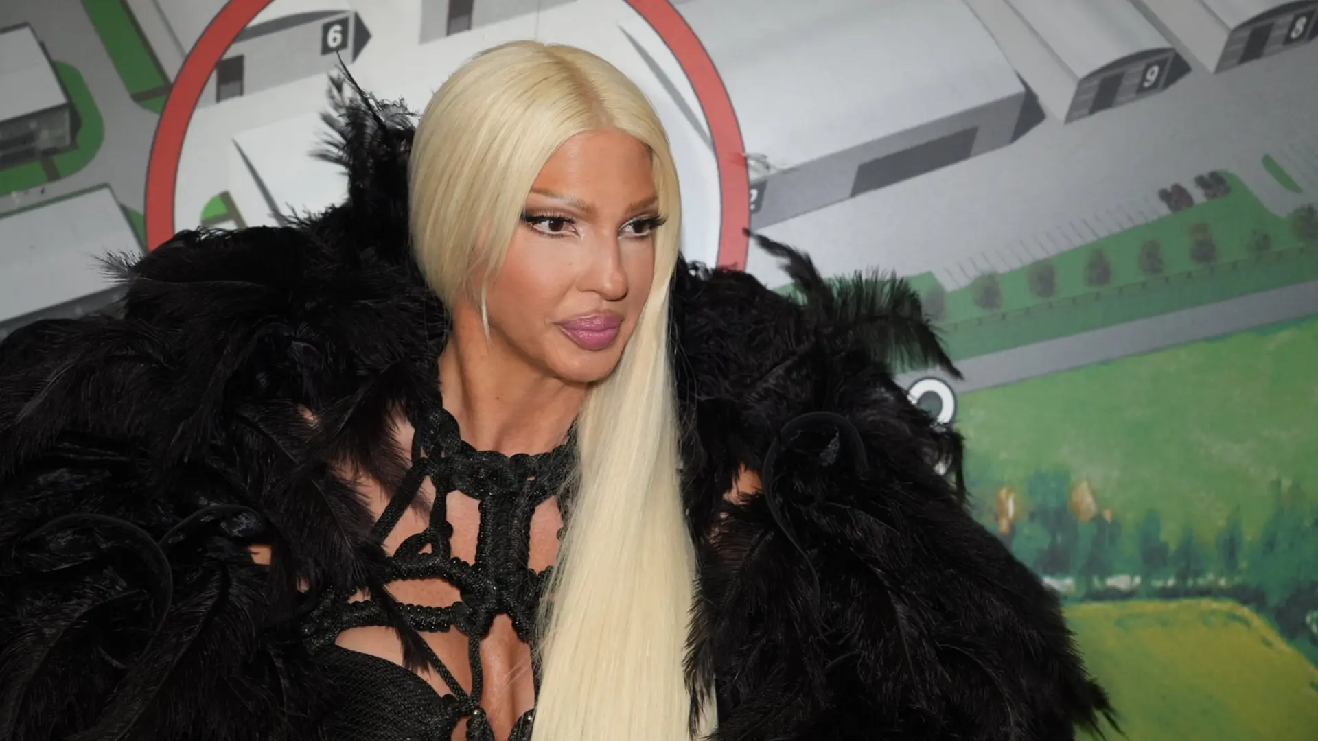 Jelena Karleuša Antonio Ahel ATAImages-6a495822c2b83.webp