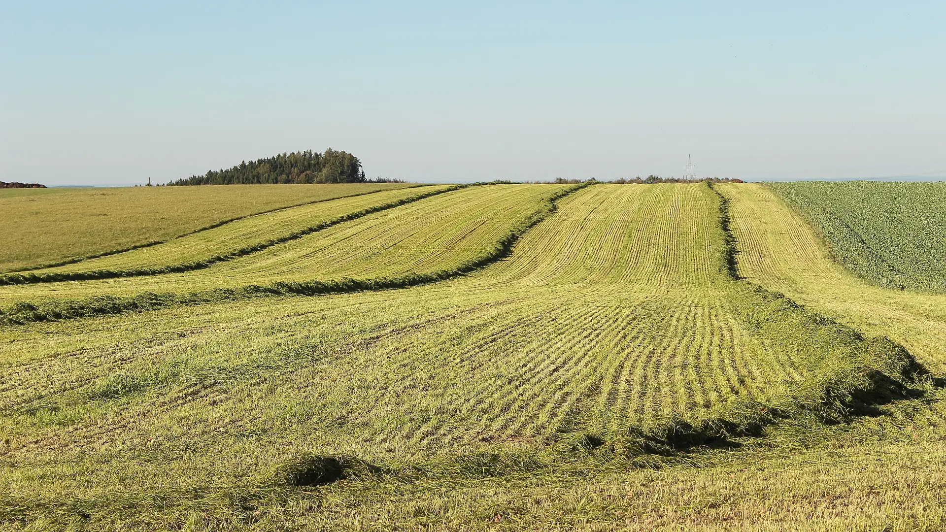 Pašnjak njiva poljoprivreda Pixabay-6a6489e1d20c8.webp
