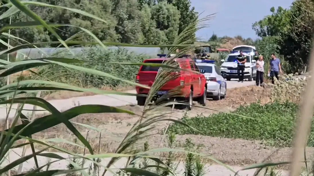 Policija vatrogasci sapsioci Klisa saobraćajna nesreća Novi Sad Instagram 192.rs Printscreen-6a60b6668718b.webp