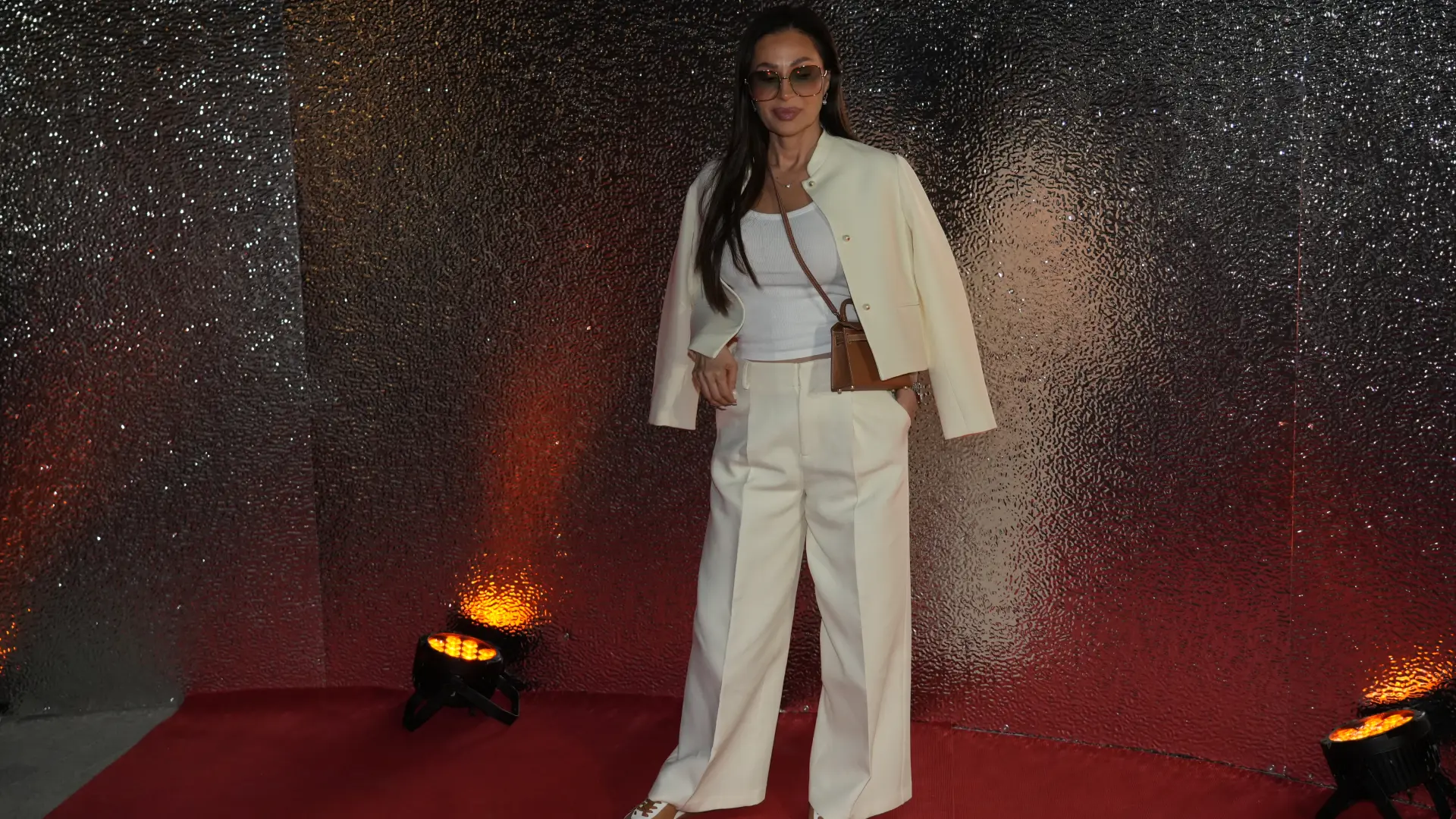 ceca ražnatović, Antonio AhelATAImages-6a4b873a45c1b.webp