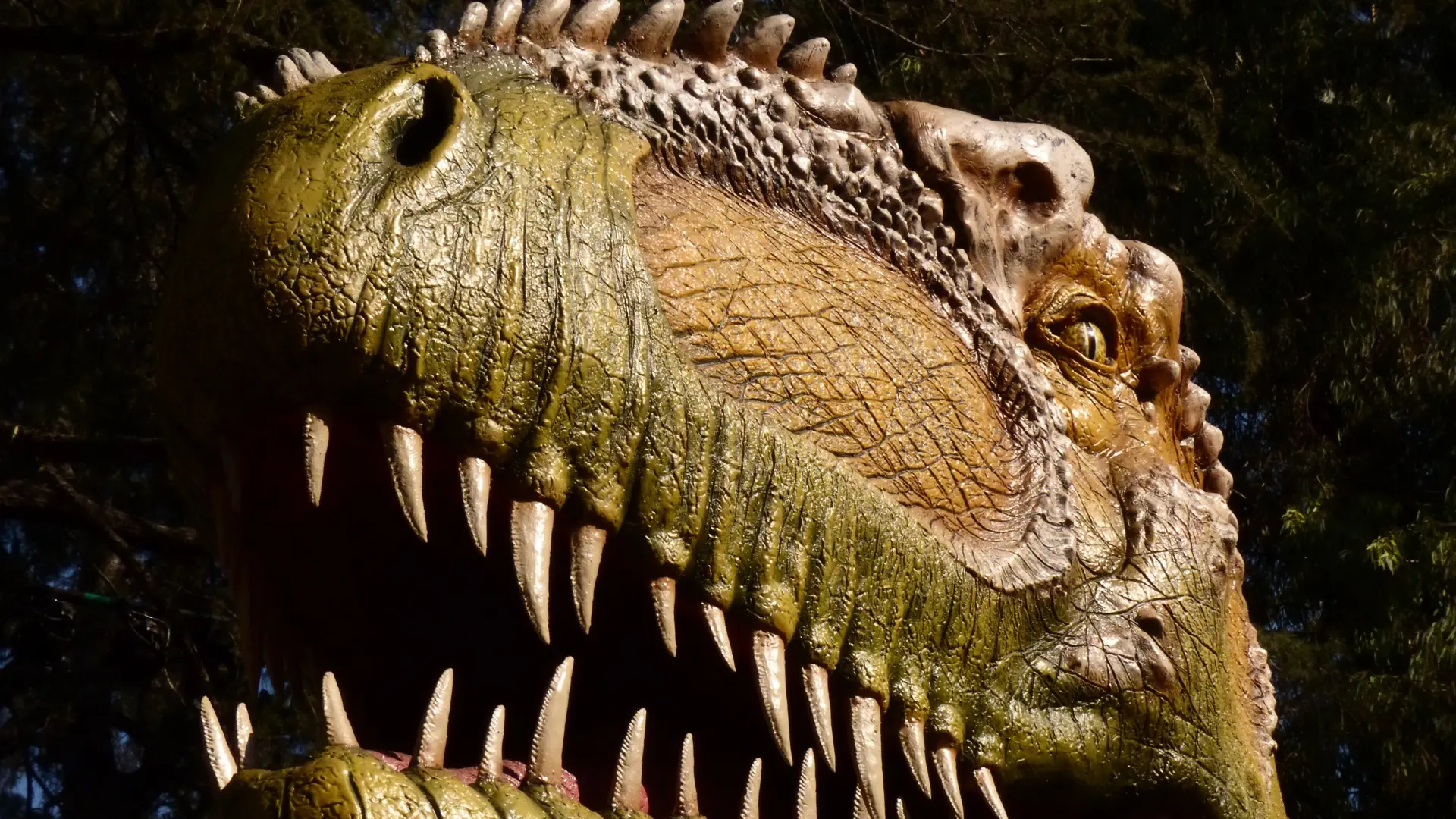 dinosaurus pixabay-6a523d37f04b8.webp