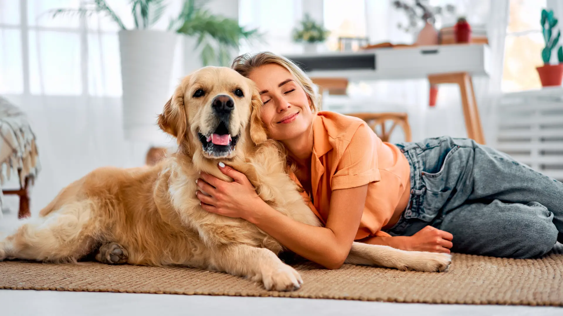 shutterstock_2397404077 pas psi sreća devojka ljubimac zlatni retriver ljubav-6a6cc88270ef7.webp