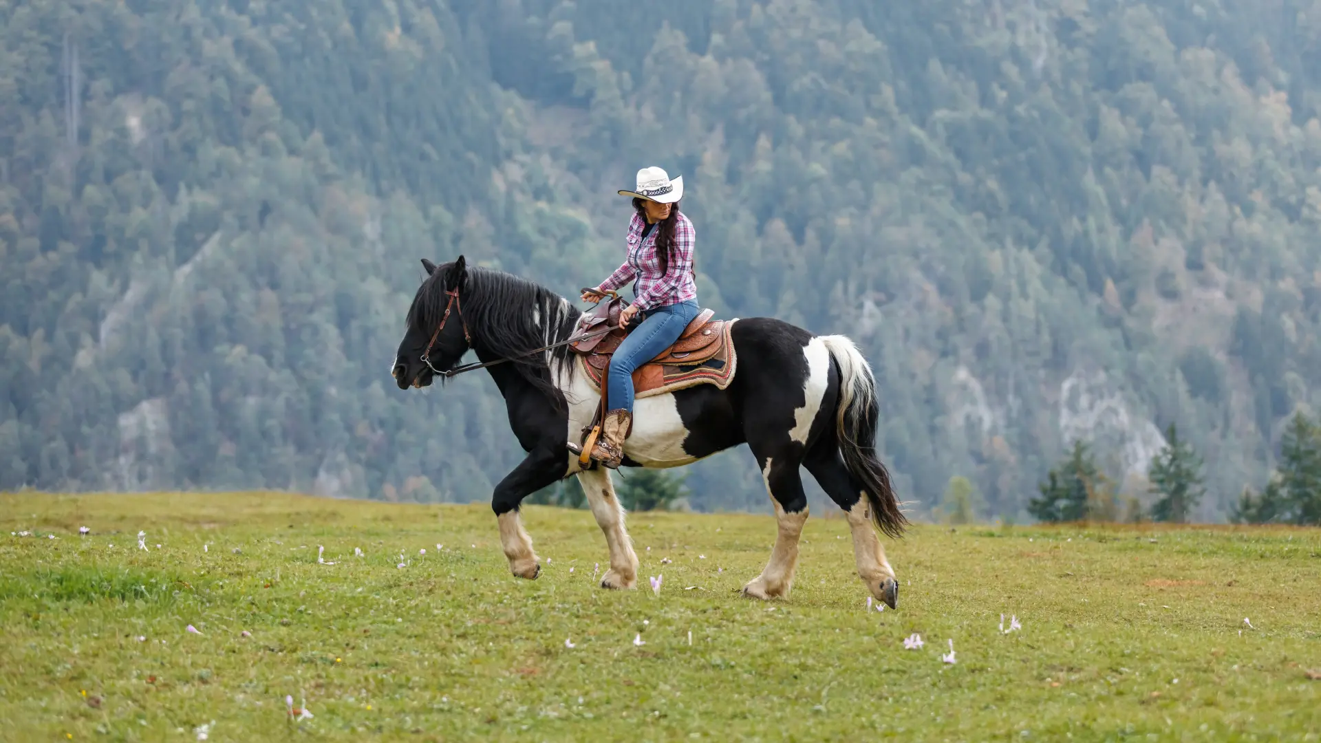 shutterstock_2639795007 jahanje konja planina fizička aktivnost kaubojka konj planina priroda zdrav život-6a621af67bf31.webp