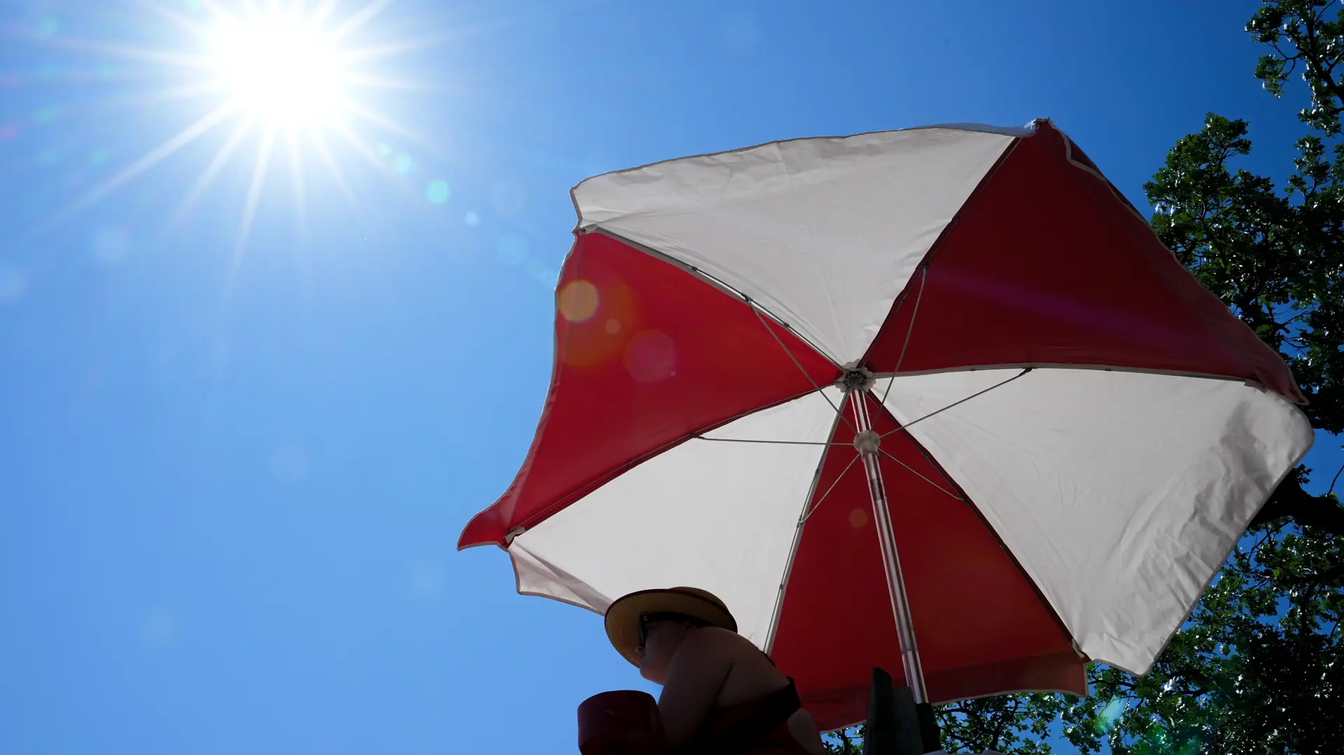 vreme sunce leto toplotni talas kišobran Mineapolis SAD Tanjug AP Photo Ellen Schmidt-6a55ead4f1fb4.webp