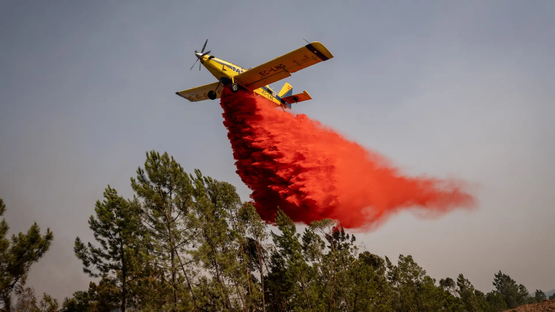 Španija gašenje požara REUTERS Mikel Konate-6a79719cb723a.webp