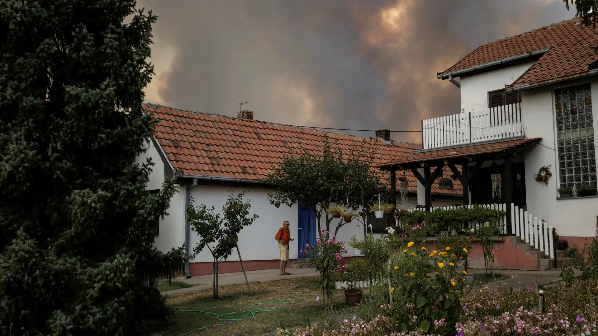 Deliblatska peščara požar REUTERS Marko Djurica-6a759d6bb2151.webp