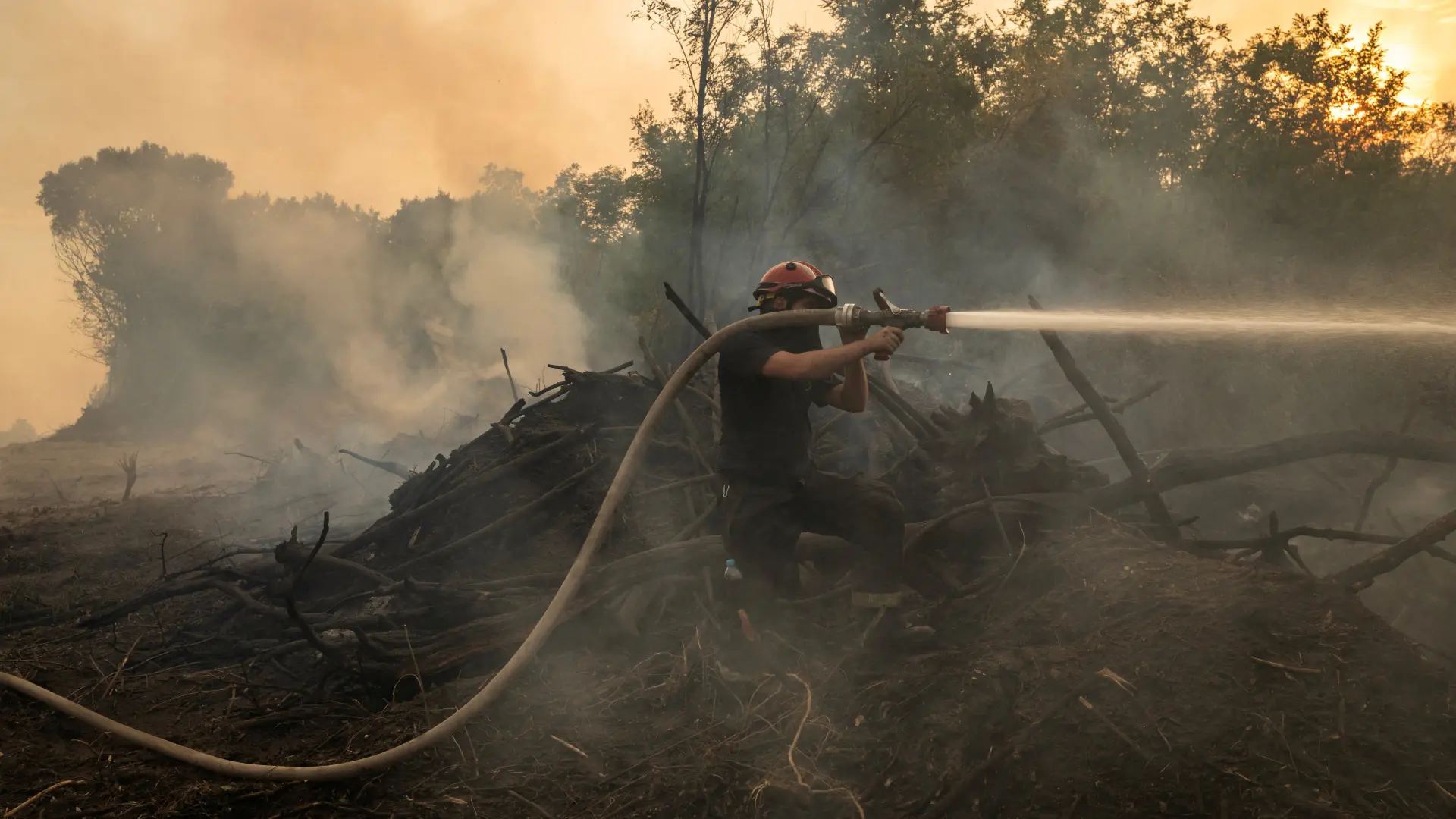 Požar Deliblatska peščara vatrogasci srbija REUTERS Marko Djurica-6a85ba6982398.webp