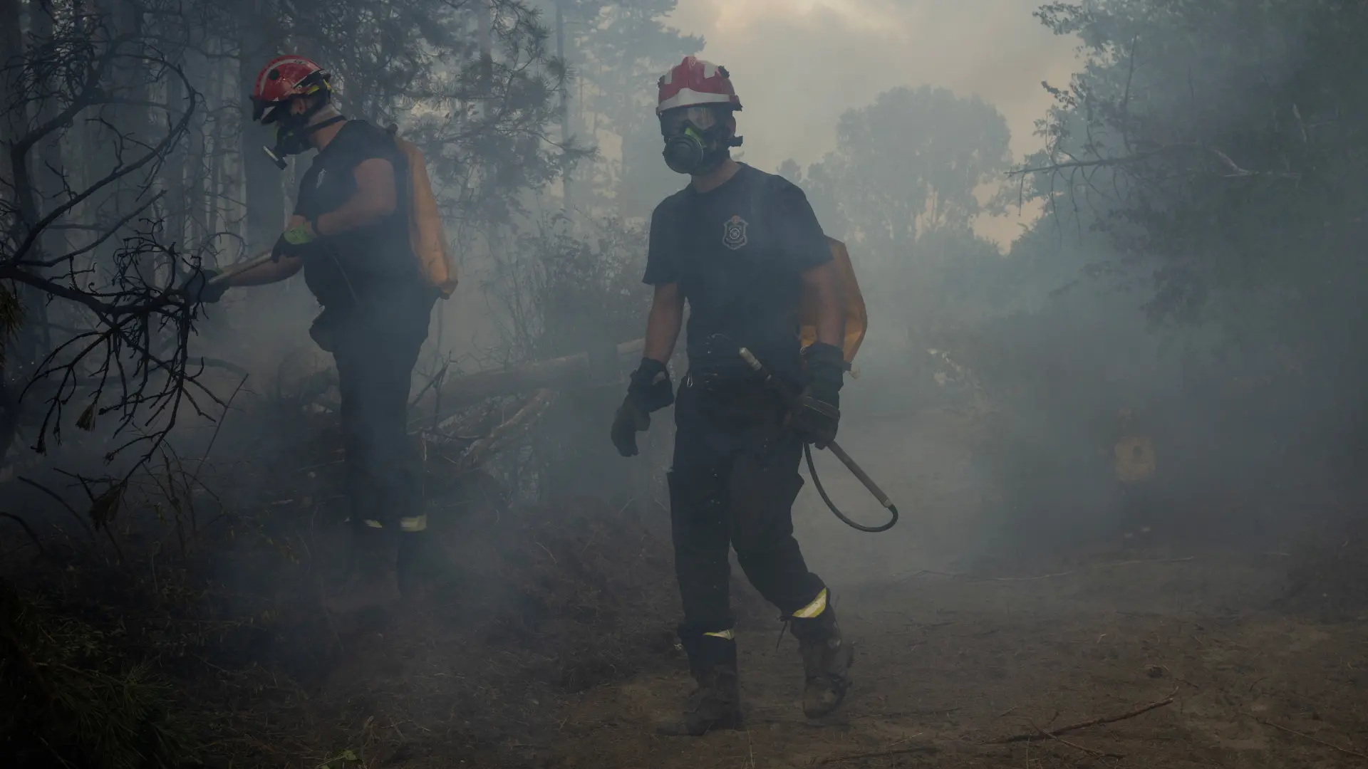 Požar deliblatska peščara REUTERS Marko Djurica-6a7830303d2ed.webp
