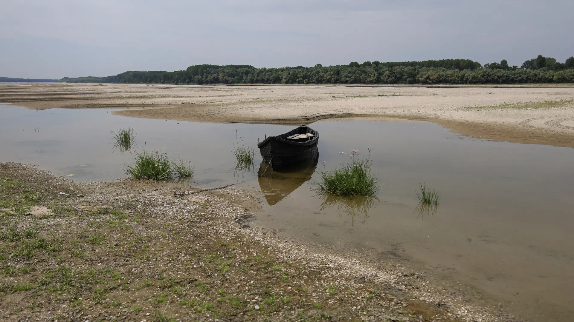 Rumunija Dunav  Inquam Photos Octav Ganea via REUTERS-6a71976030234.webp