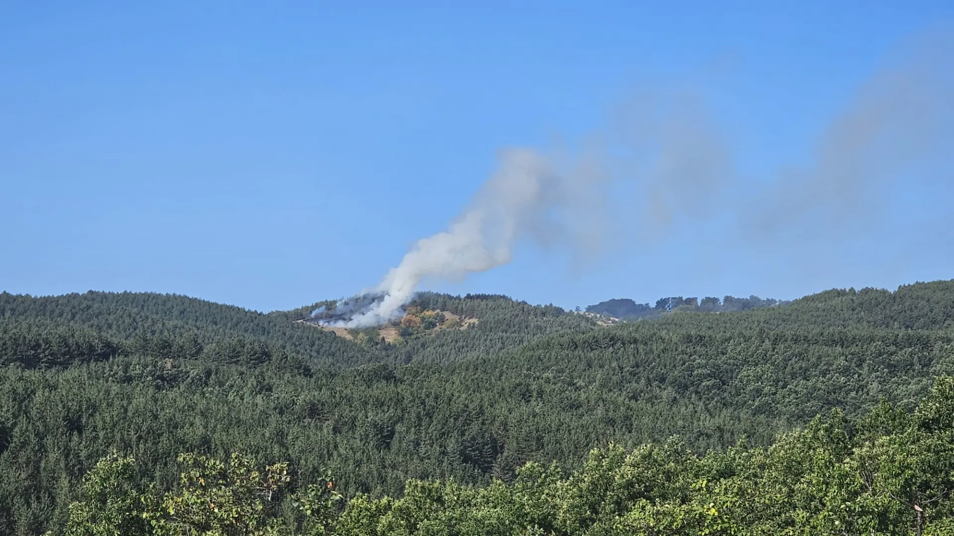 družetići požarTANJUG GVOZDEN NIKOLIĆ-6a81c799b0b8d.webp