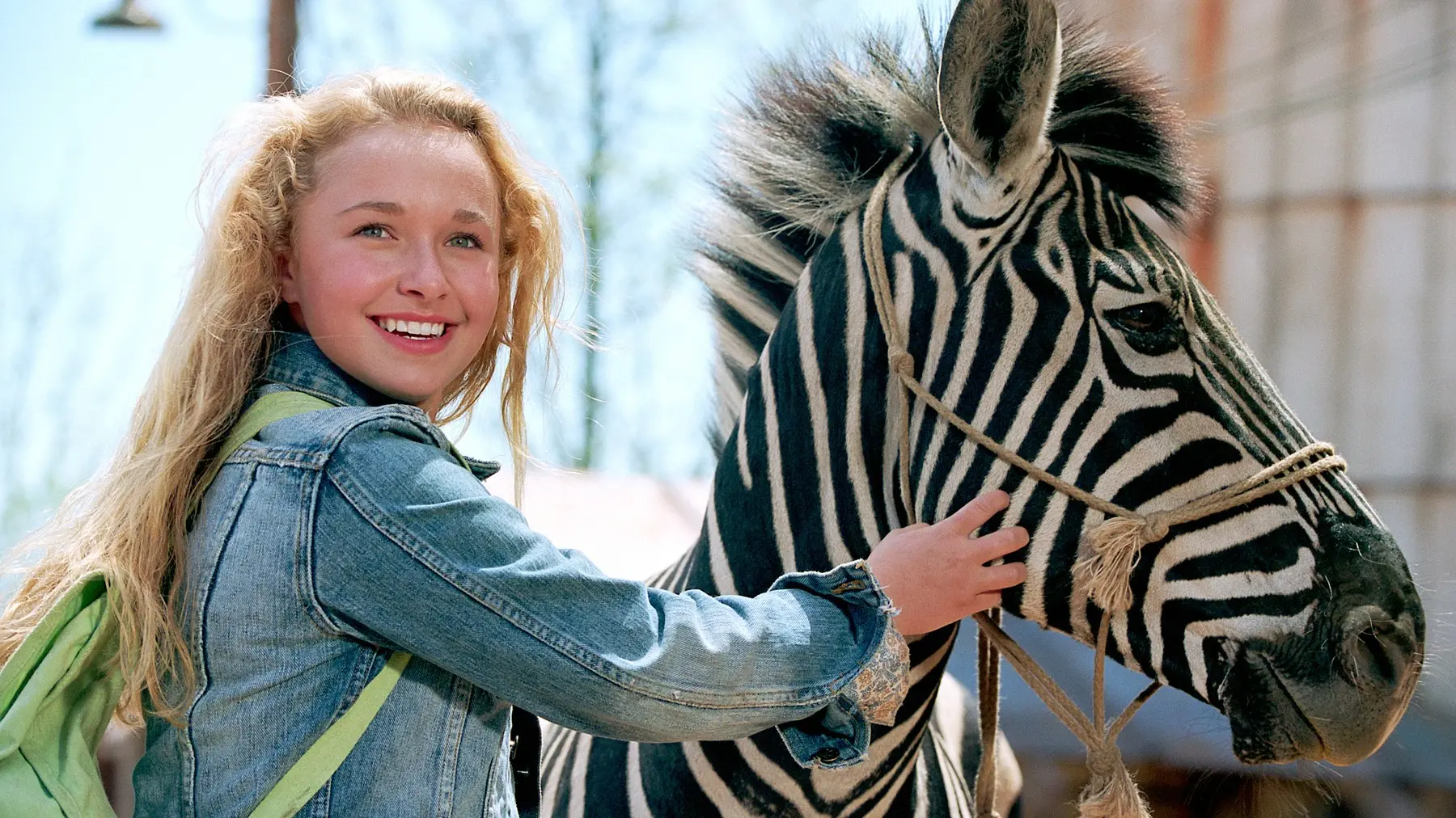 profimedia-0136765119 Čening Volš - Zebra trkačica Hejden Penetijer-6a82fb937485e.webp
