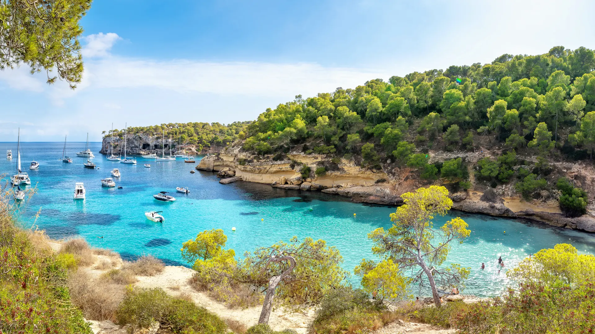 shutterstock_1206959422 mallorca palma de majorka španija plaža more-6a913bbc5c5a0.webp