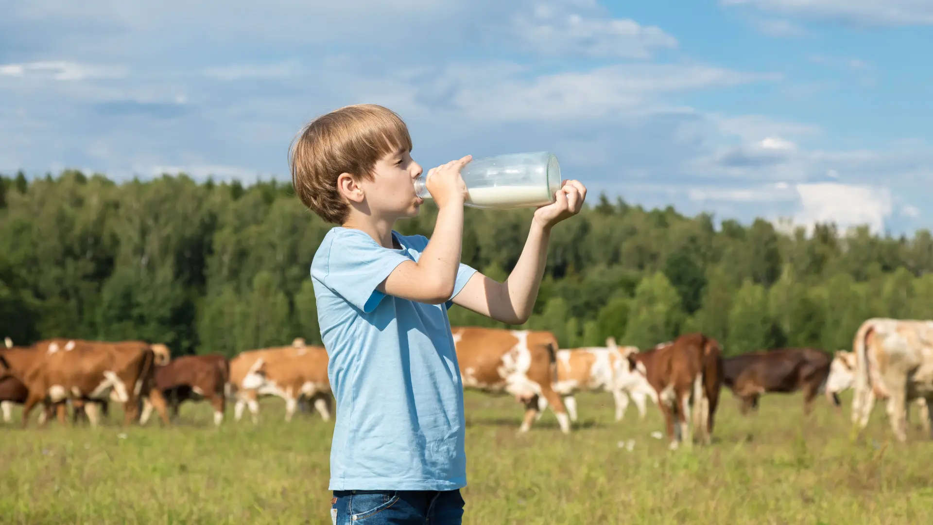 shutterstock_1569778561 dete devojčica dečak deca sa sela selo krave štala krava kravlje mleko zdrav život-6a79c3b7b6272.webp