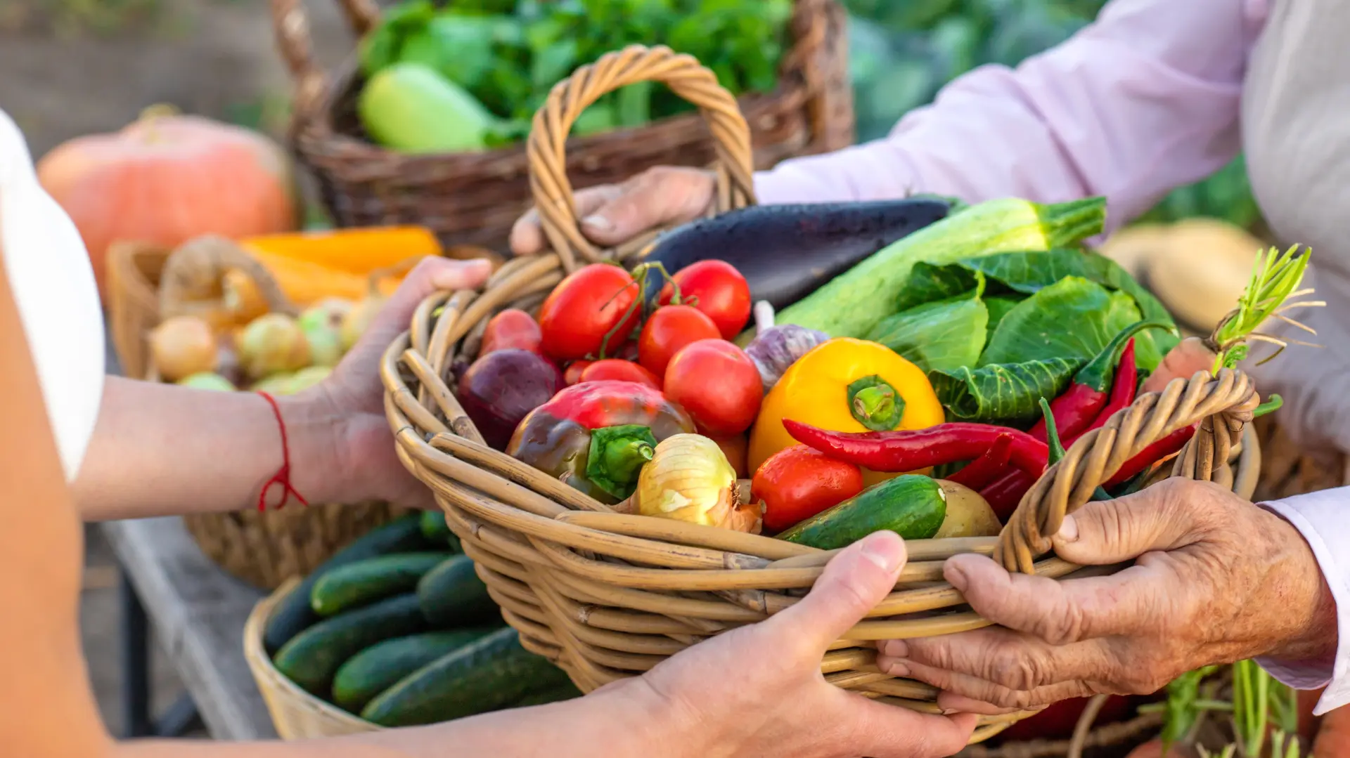 shutterstock_2712994253 povrće bašta paprika luk-6a742cf2a1584.webp