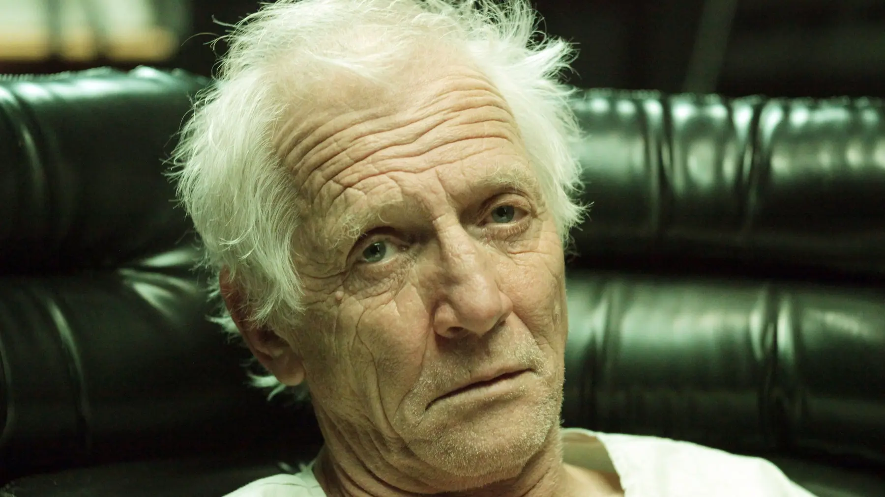 skot hajlands Magnolia Pictures : Everett : Profimedia-6a6f270f0f78d.webp