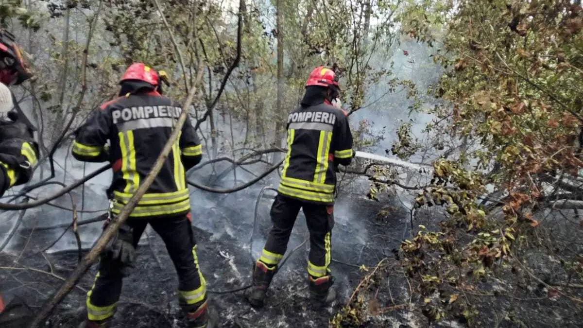 vatrogasci srbija nemačkaTANJUG OMK MUP REPUBLIKE SRBIJE-6a8f019ce6f46.webp