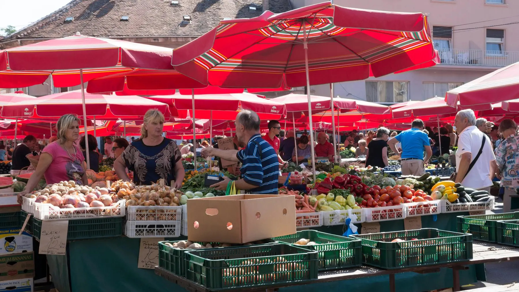 zagreb dolac pijaca profimedia-0303114145-6a86dd0898301.webp