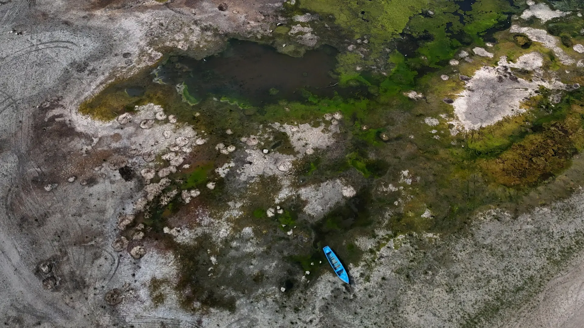 Dunav nizak vodostaj Bugarska  REUTERSStoyan Nenov-6a9922a2d344c.webp