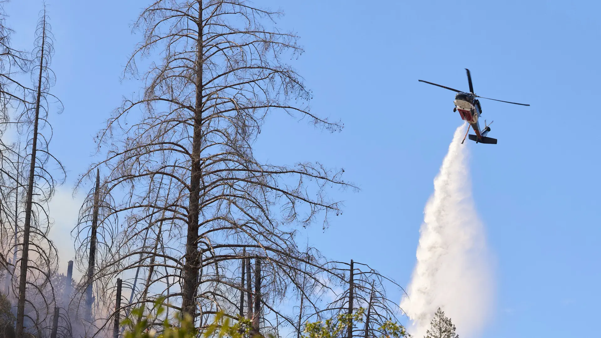 Helikopter Kalifornija šumski požar gašenjke REUTERSFred Greaves-6ab25ed821337.webp