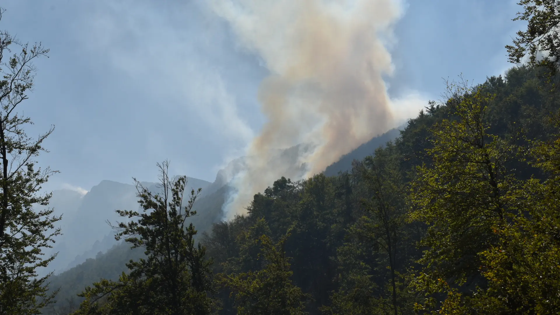 Suva planina požar Radule PerisicATAImages-6ab7cf66296d7.webp