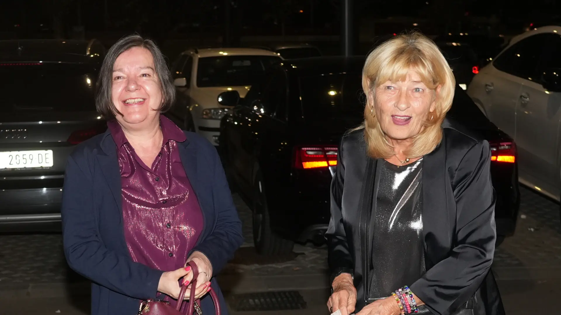 Žaklina Zdravković, Gordana Zdravković, Antonio Ahel:ATAImages-6abd5a0ab057f.webp
