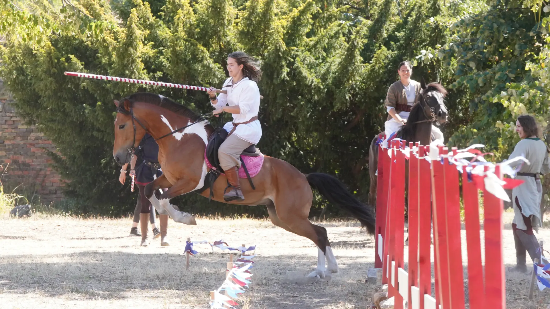 festival beli orlovi TANJUG MILOŠ MILIVOJEVIĆ-6a9dc25755f5d.webp
