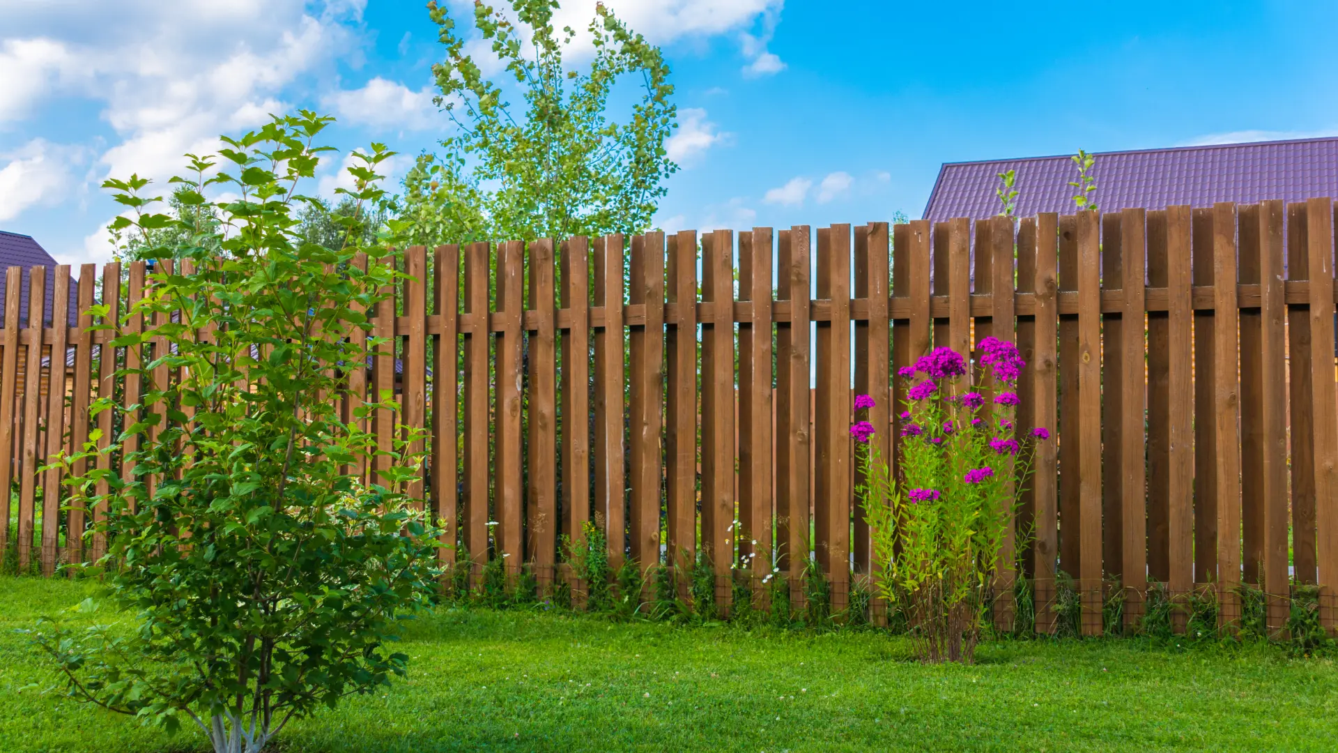ograda kuća dvorište shutterstock_476388484-6aabeeac00d3f.webp