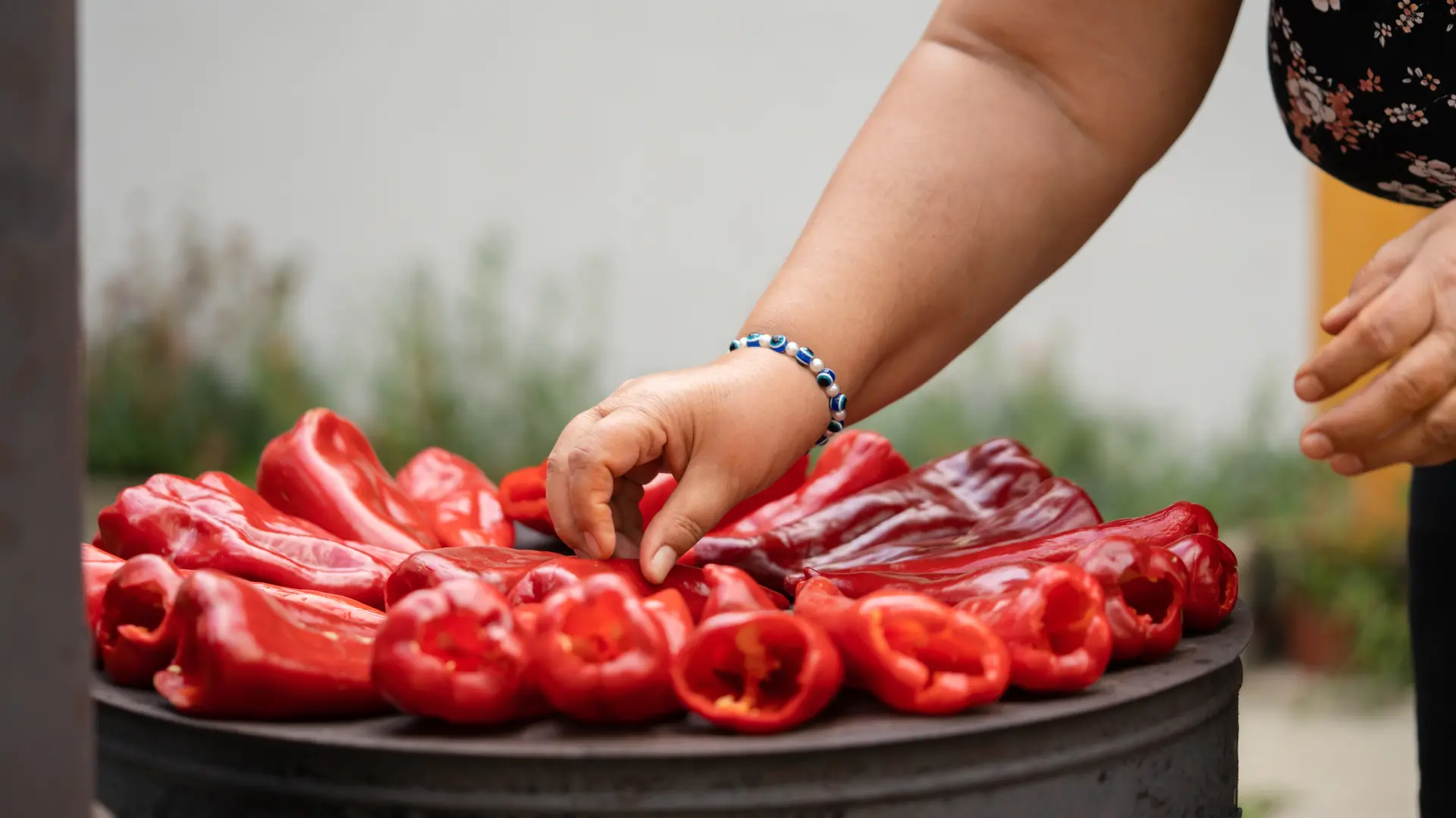 pečenje paprike paprika crvena ajvar zimnica shutterstock_2193307271-6a9c060117300.webp