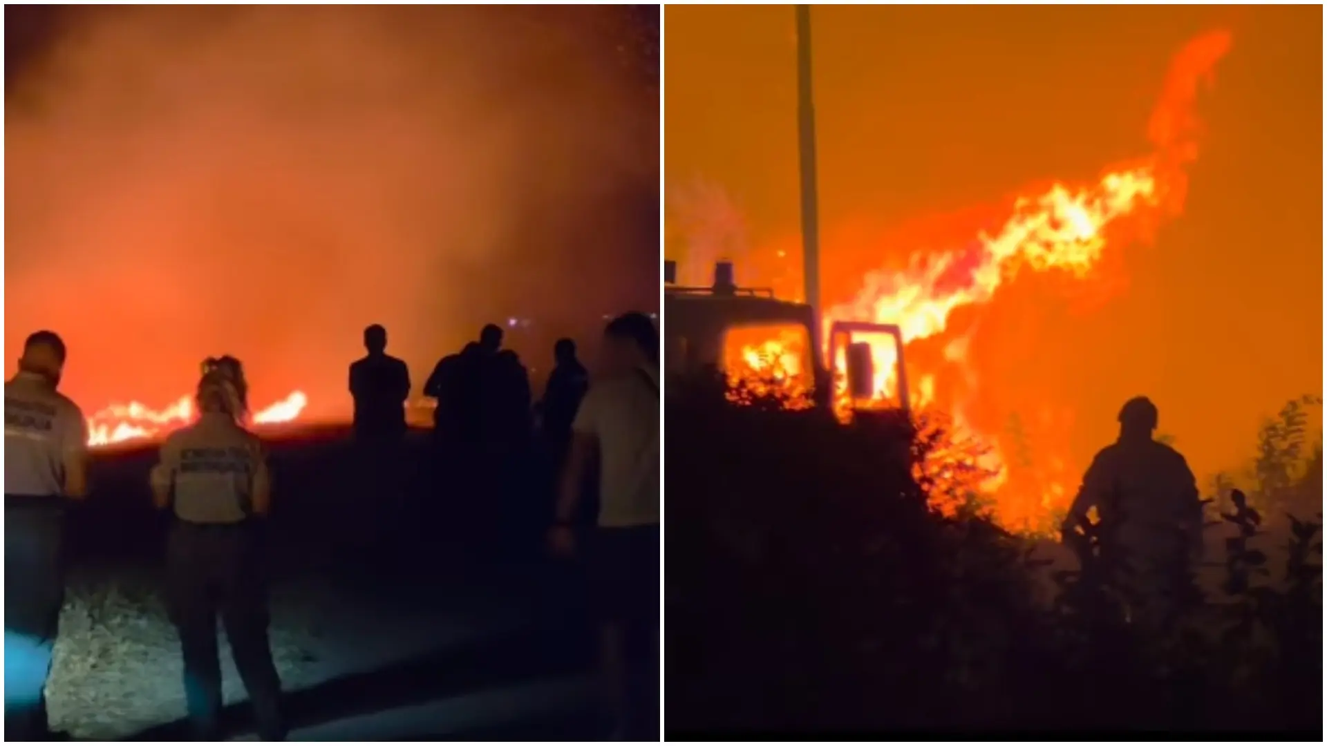 požar kod Oficirca Petrovaradinska ada Instagram 192.rs Printscreen-6aa1afeb2fdf9.webp