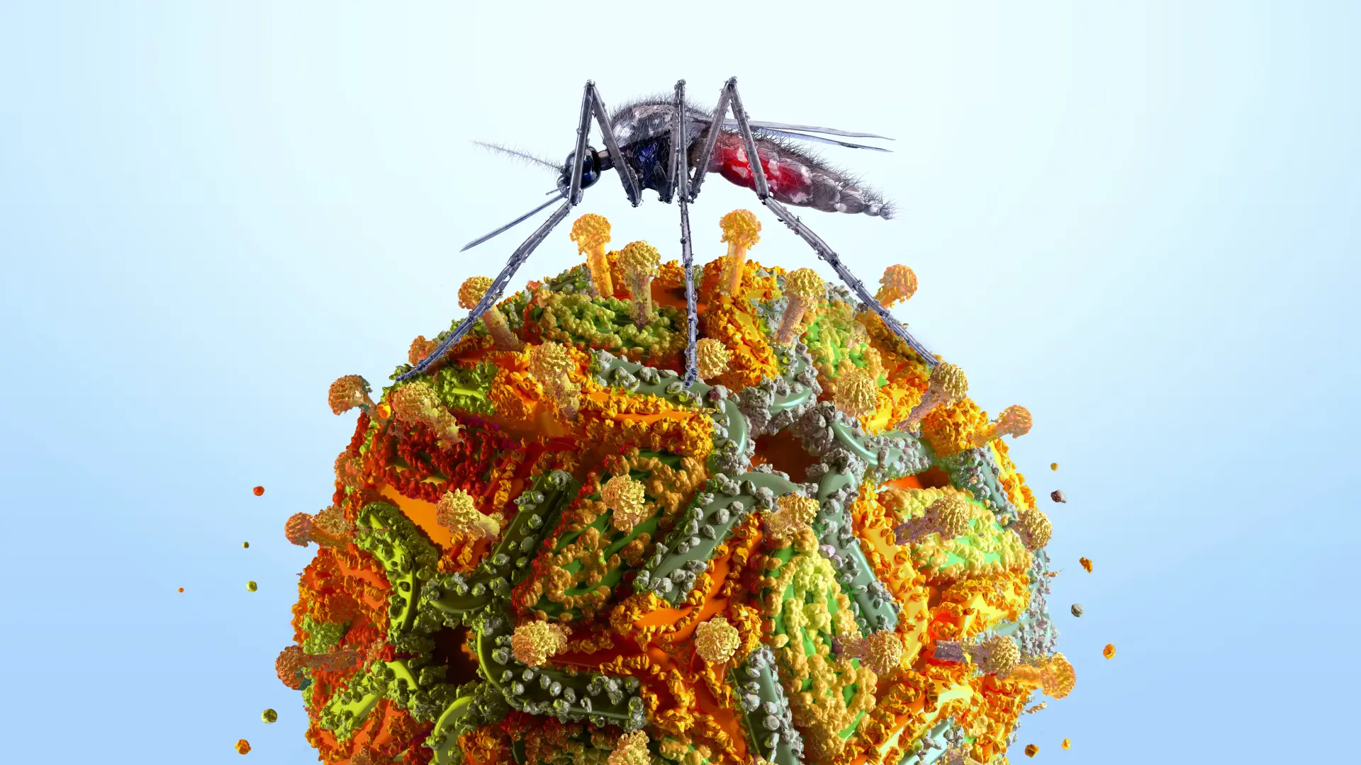 shutterstock_2527971505 malarija komarci komarac virus zapadnog nila-6aad10d636637.webp