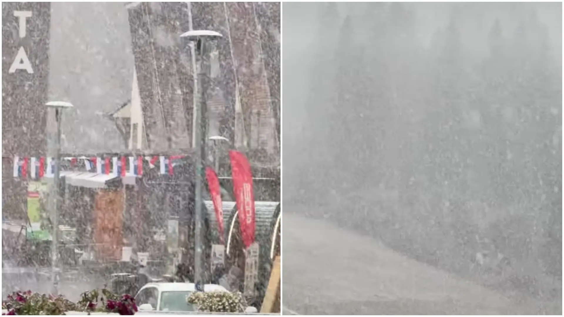 sneg Kopaonik Instagram info kop-6ab286b8f1451.webp