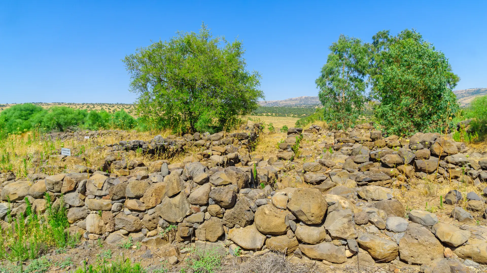 vitsaida shutterstock_1960755892-6aa5272170723.webp