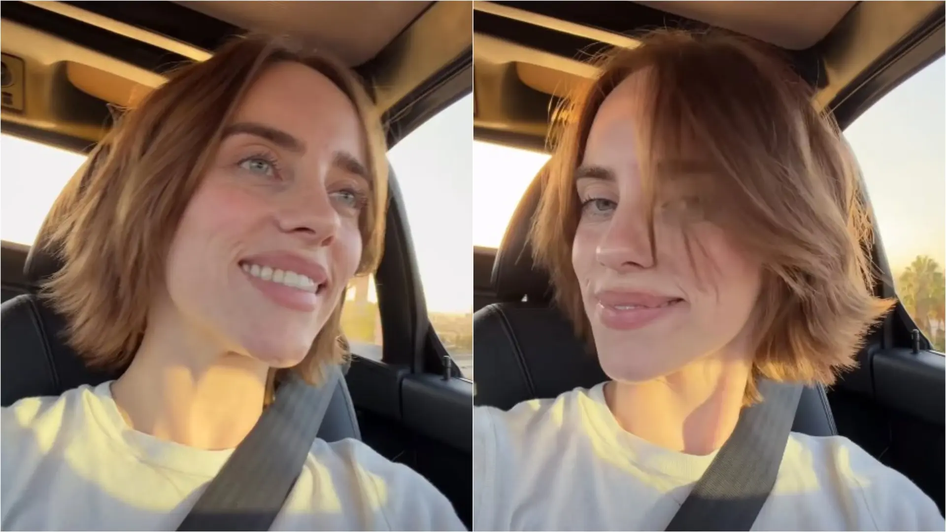 Instagram printscreen, billieeilish bili ajliš-6adb67fb58fbc.webp