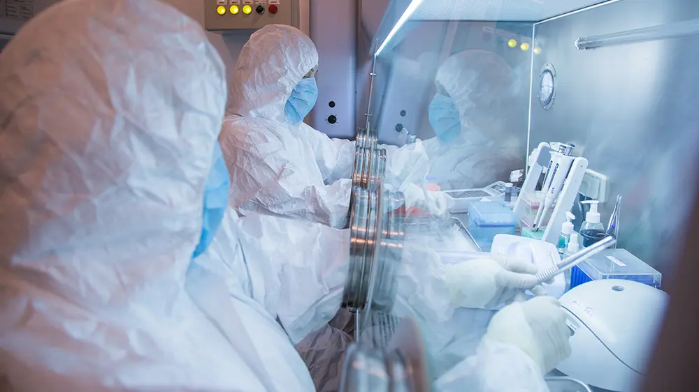 The Irkutsk Anti-Plague Research Institute of Siberia and Far East via AP, kuga-6ac4ef62dc3c4.webp