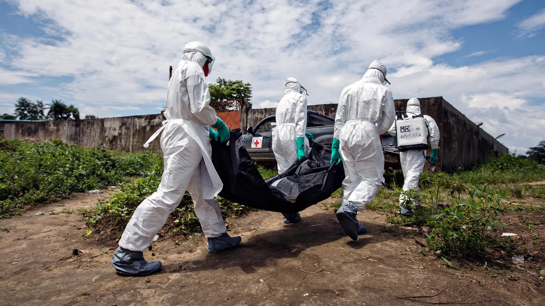 profimedia-0208845852 ebola virus ebole-6ae5997fcf640.webp