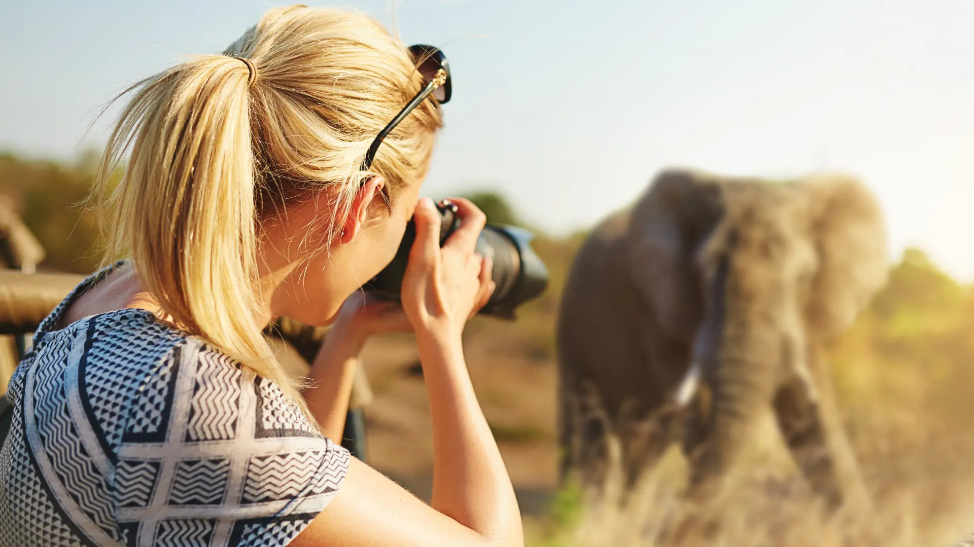shutterstock_2167865213 fotograf slon fotografija afrika putovanja odmor fotografisanje-6ad0db8c8f374.webp