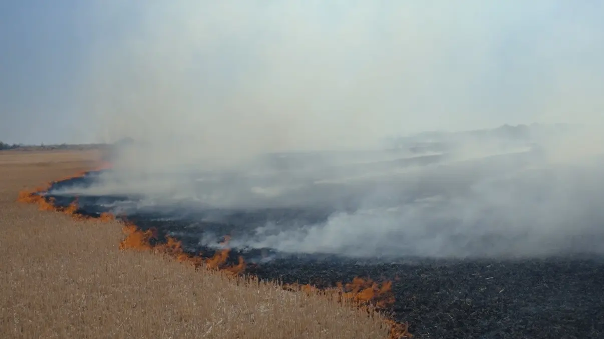 strnjika paljenje požar TANJUG MPŠV (2)-6ac3848083686.webp