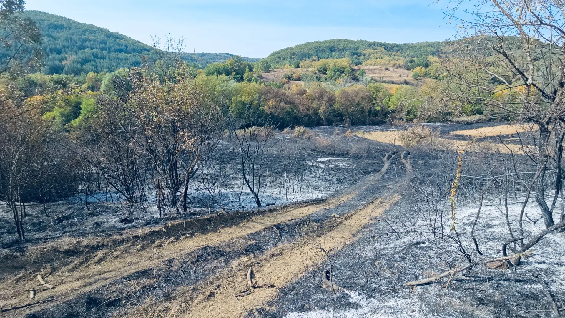 vatrogasci selo Osmakovo požar Stara planina TANJUG ALEKSANDAR ĆIRIĆ (2)-6ac66f070ed4a.webp